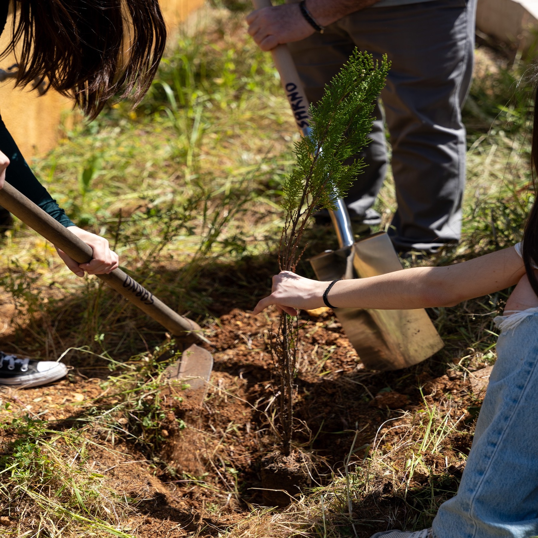 Earth Day, la Giornata Mondiale della Terra